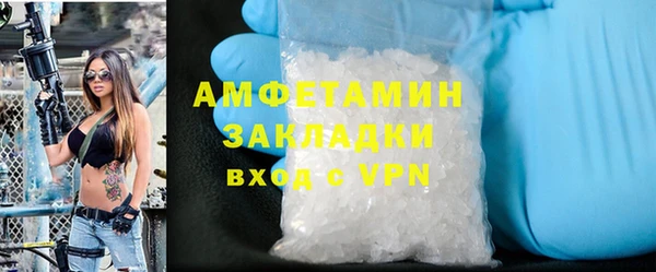 гашик Няндома