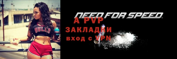 гашик Няндома