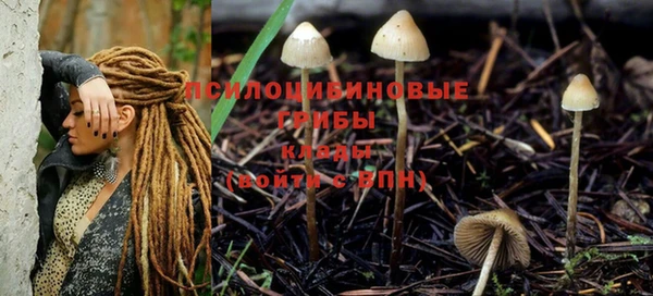 гашик Няндома