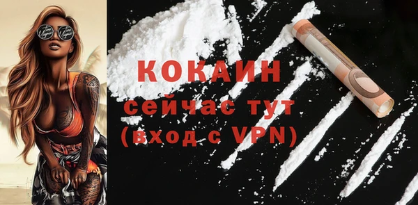гашик Няндома