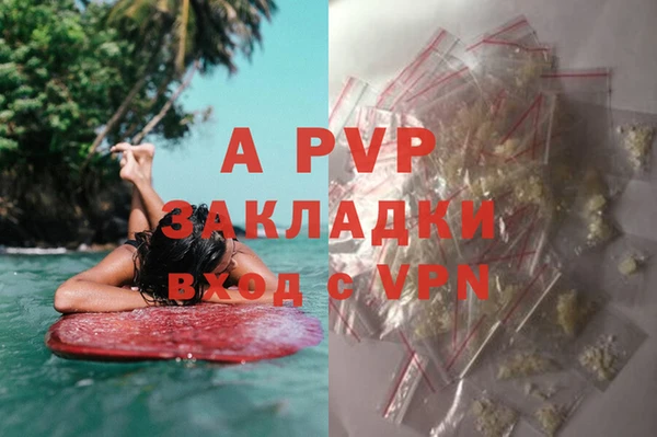 дмт Осташков