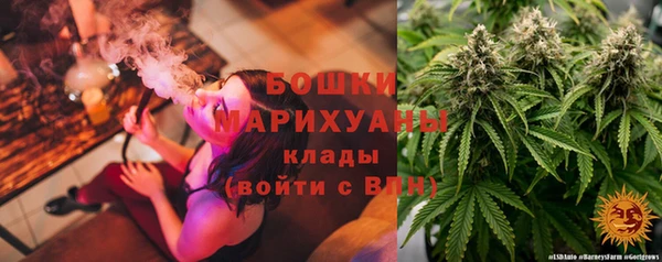 гашик Няндома