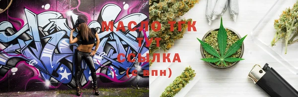 гашик Осинники
