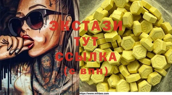 гашик Осинники