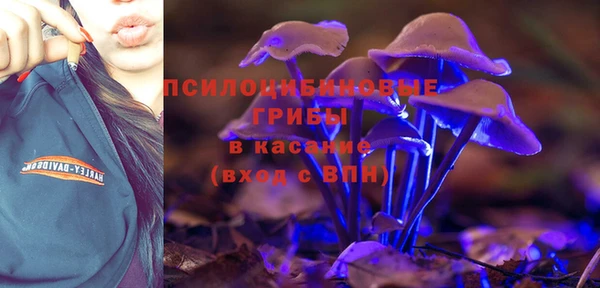 mdpv Нягань