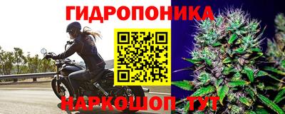 СК Гатчина