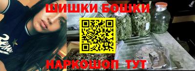 СК Гатчина