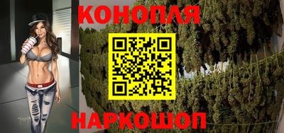 СК Гатчина