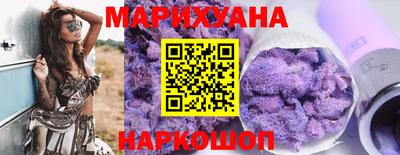 СК Гатчина