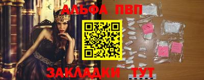 СК Гатчина