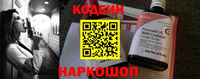 СК Гатчина