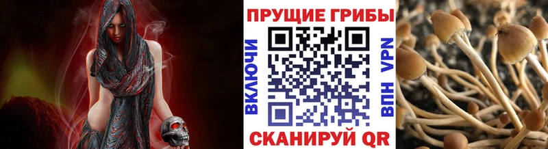 Галлюциногенные грибы прущие грибы  MEGA зеркало  Губкинский 