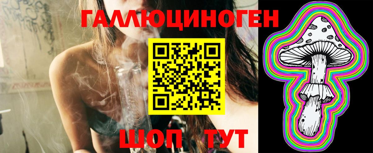 Губкинский  Псилоцибиновые грибы MAGIC MUSHROOMS  Вход с VPN 