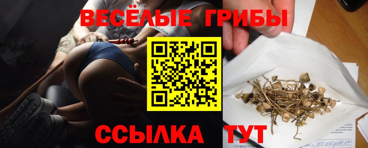 Конопля  КОКАИН  Гашиш  25-NBOMe  CBD масло  Губкинский  Мяу-Мяу  МЕФ  Вход с VPN  Лсд 25 