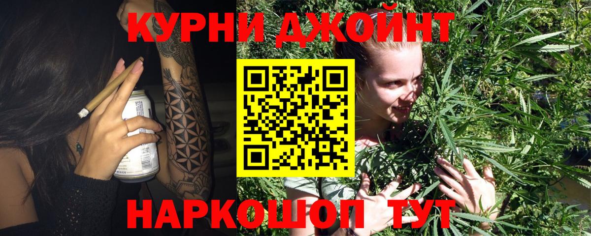 Каннабис конопля Губкинский